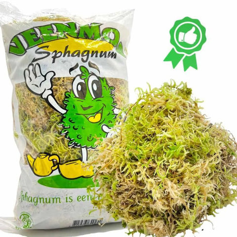 Sphaigne 3l