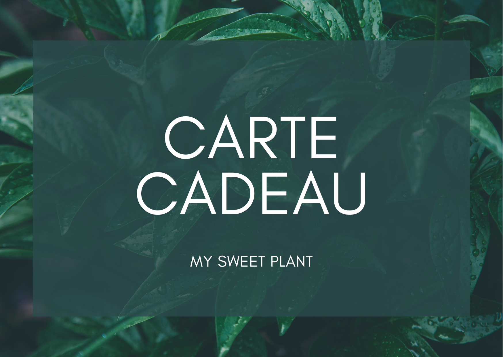 Carte Cadeau