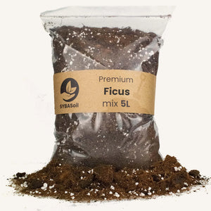 Terreau Ficus 5l Sybotanica