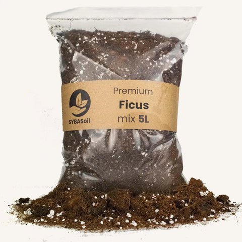 Terreau Ficus 5l Sybotanica