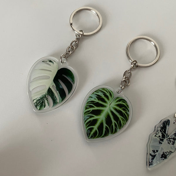 Porte Clefs Plantes