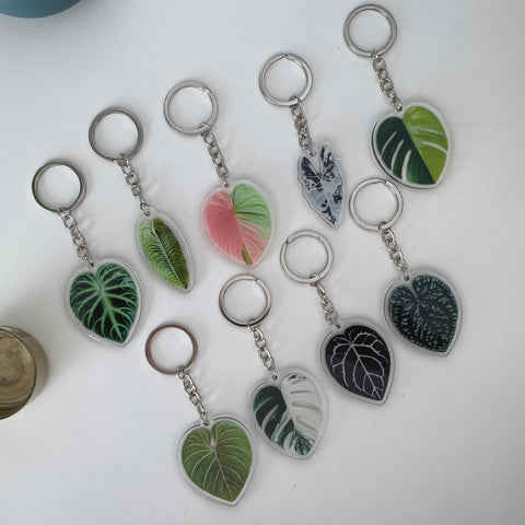 Porte Clefs Plantes