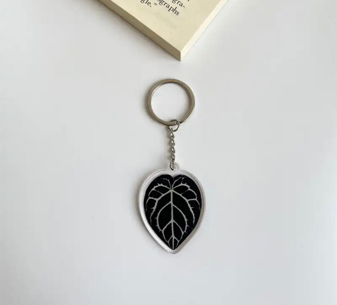 Porte Clefs Plantes
