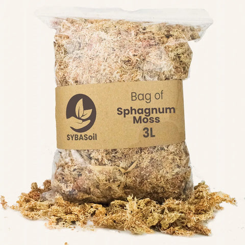 Sphaigne 3l Sybotanica