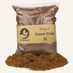 Coco pour Terreau 3l Sybotanica