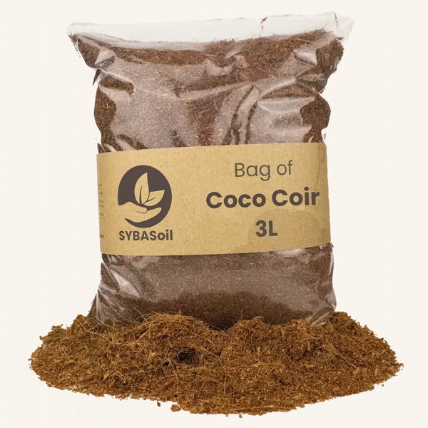 Coco pour Terreau 3l Sybotanica