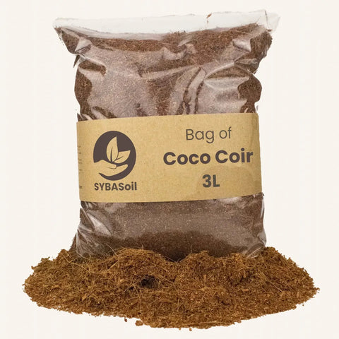 Coco pour Terreau 3l Sybotanica