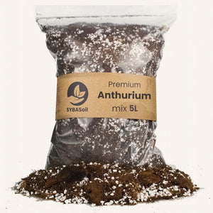 Terreau Arthurium 5l Sybotanica