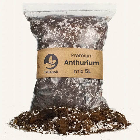 Terreau Arthurium 5l Sybotanica