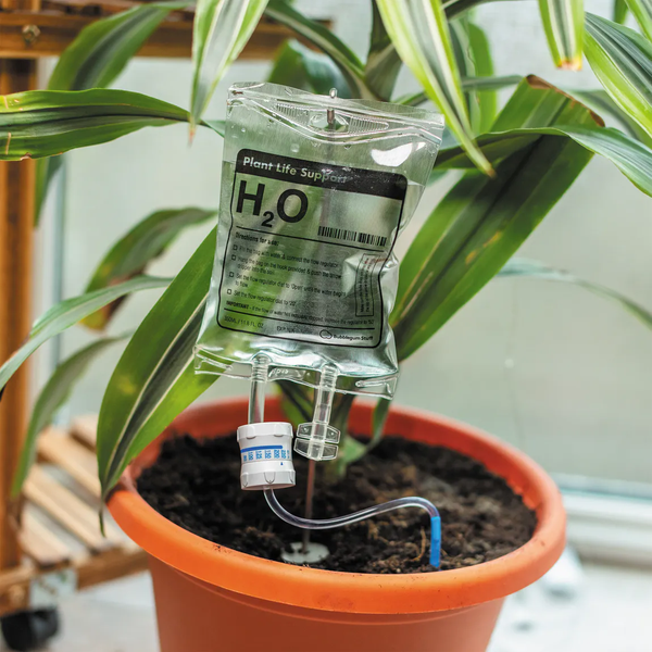 Plant Life Support - M