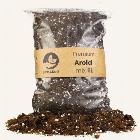 Terreau Aroid 5l (Monstera Philodendron…) Sybotanica