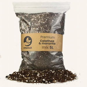 Terreau Calathéa Maranta 5l Sybotanica