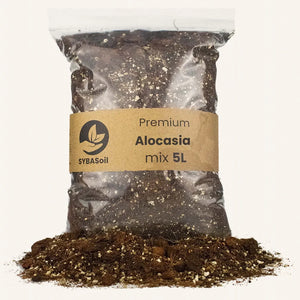 Terreau Alocasia 5l Sybotanica