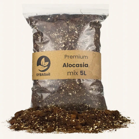 Terreau Alocasia 5l Sybotanica