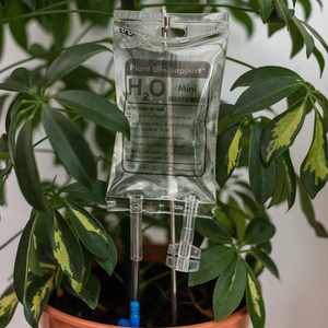 Plant Life Support - S