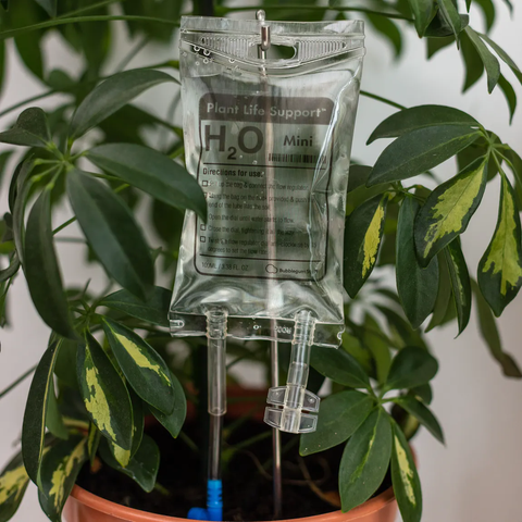 Plant Life Support - S