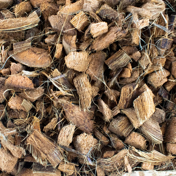 Copeaux de Coco 3l Sybotanica