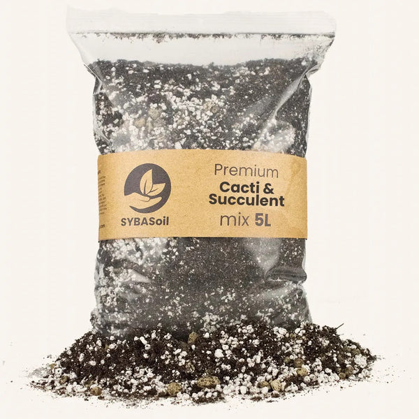 Terreau Cactus et Succulentes 5l Sybotanica