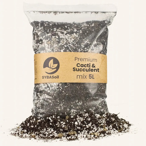 Terreau Cactus et Succulentes 5l Sybotanica