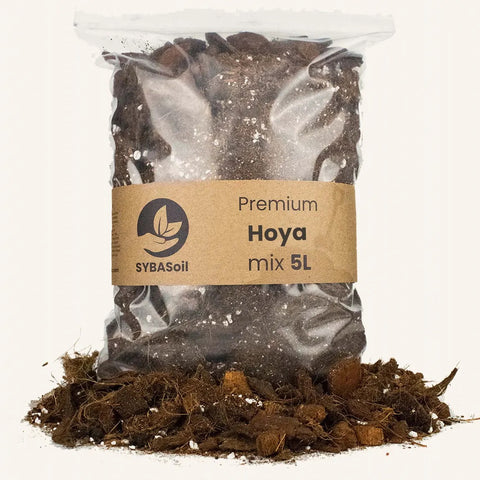 Terreau Hoya 5l Sybotanica