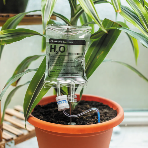 Plant Life Support - M