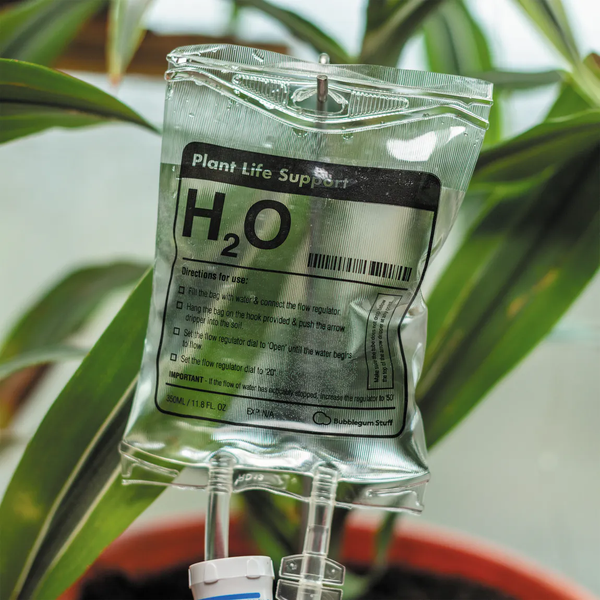 Plant Life Support - M