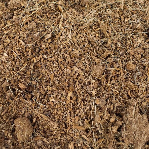 Coco pour Terreau 3l Sybotanica