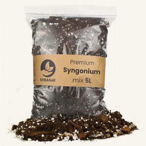 Terreau Syngonium 5l Sybotanica