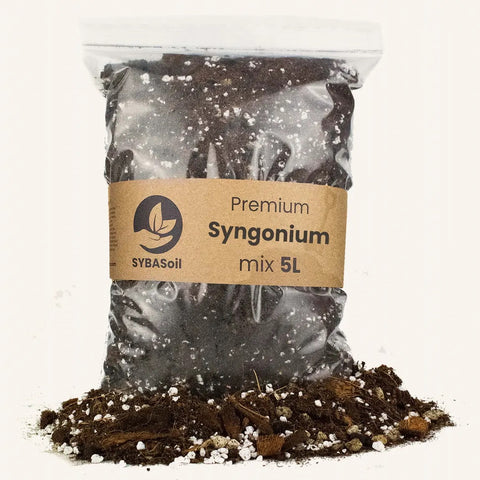 Terreau Syngonium 5l Sybotanica