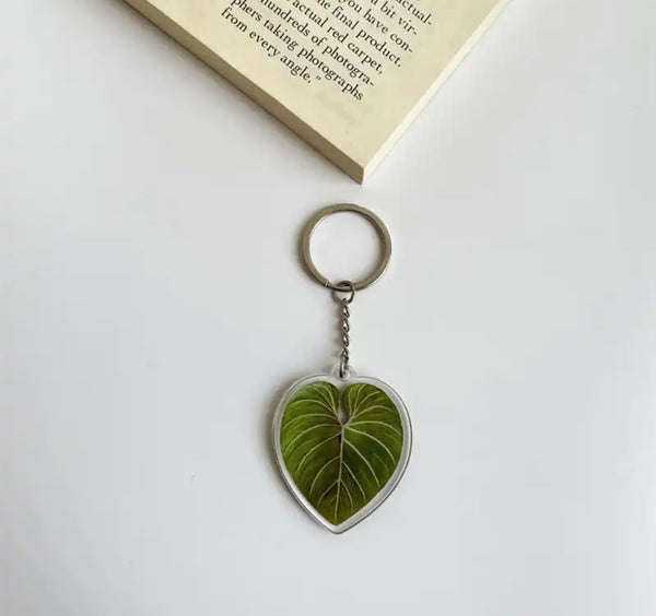 Porte Clefs Plantes