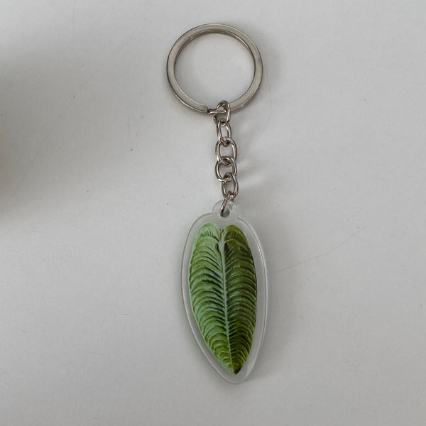 Porte Clefs Plantes