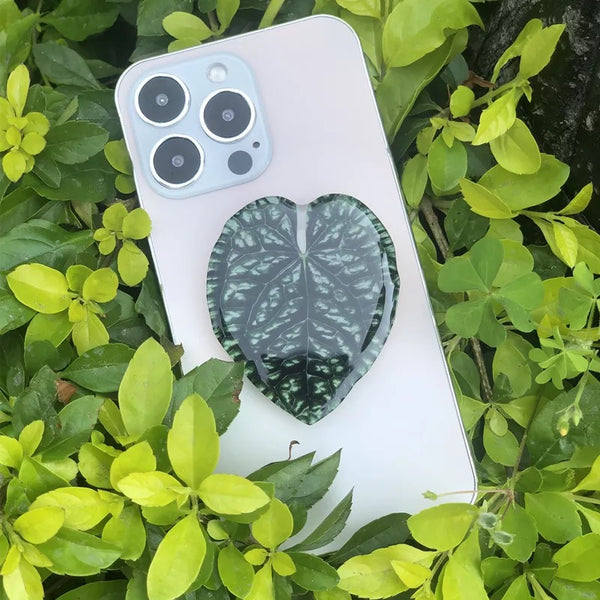 Accessoire Téléphone Pop Up Plante