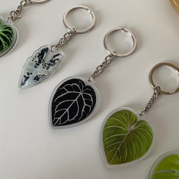 Porte Clefs Plantes
