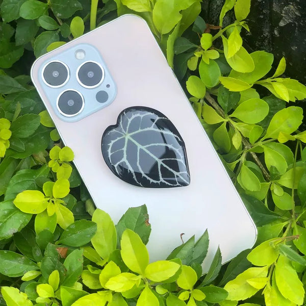 Accessoire Téléphone Pop Up Plante