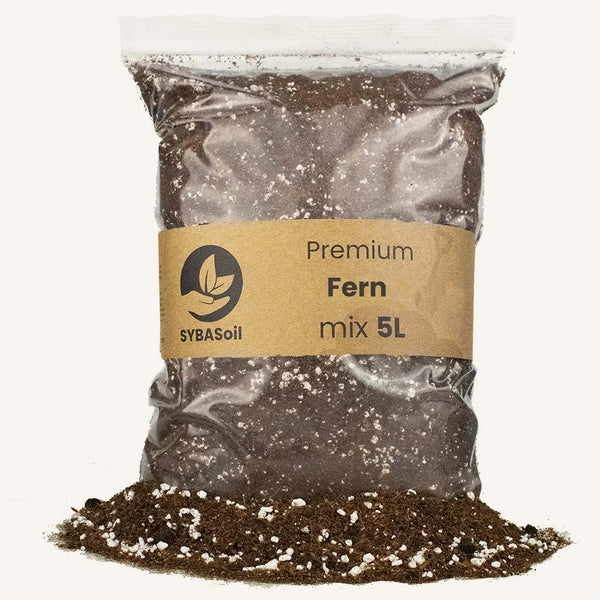 Terreau Fougère 5l Sybotanica