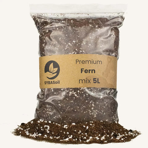 Terreau Fougère 5l Sybotanica
