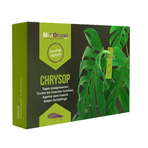 Chrysop - Contre les araignées rouges, les thrips, les pucerons et les cochenilles farineuses