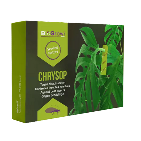 Chrysop - Contre les araignées rouges, les thrips, les pucerons et les cochenilles farineuses