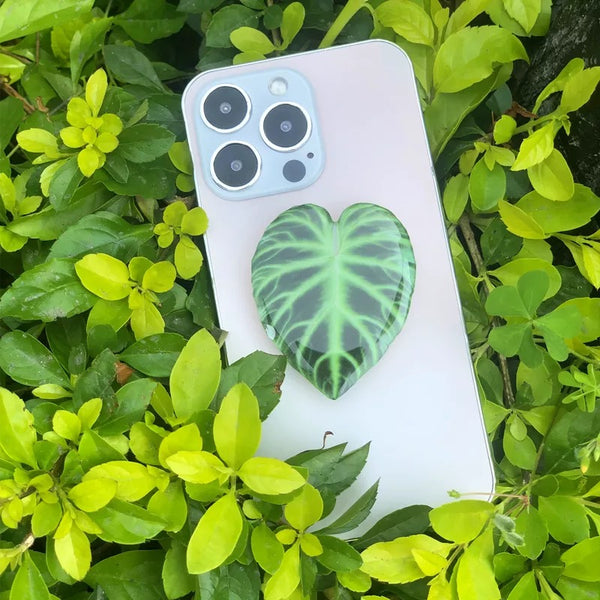 Accessoire Téléphone Pop Up Plante