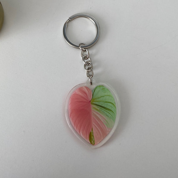 Porte Clefs Plantes