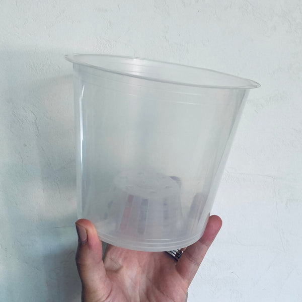 Pot Transparent différentes tailles