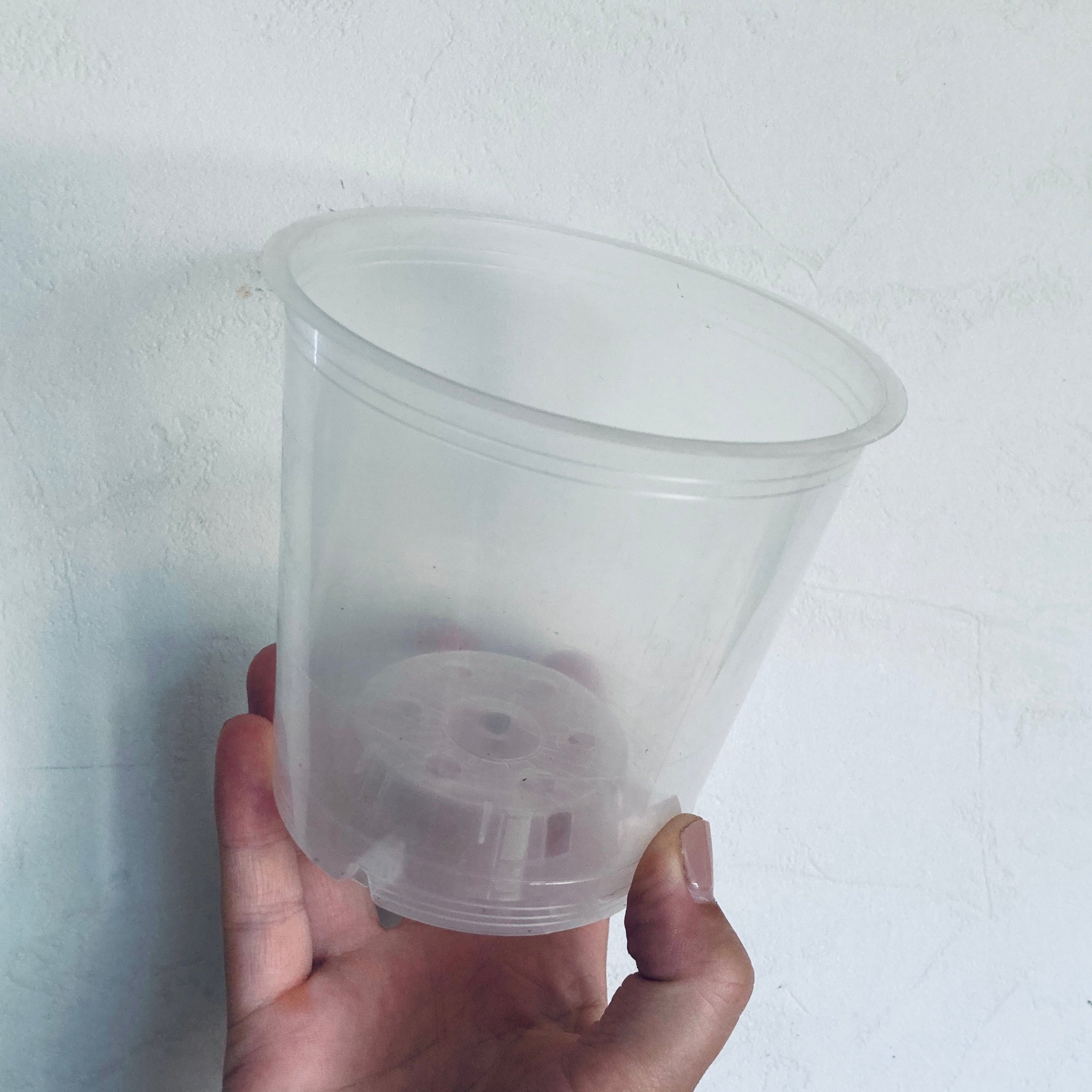 Pot Transparent différentes tailles